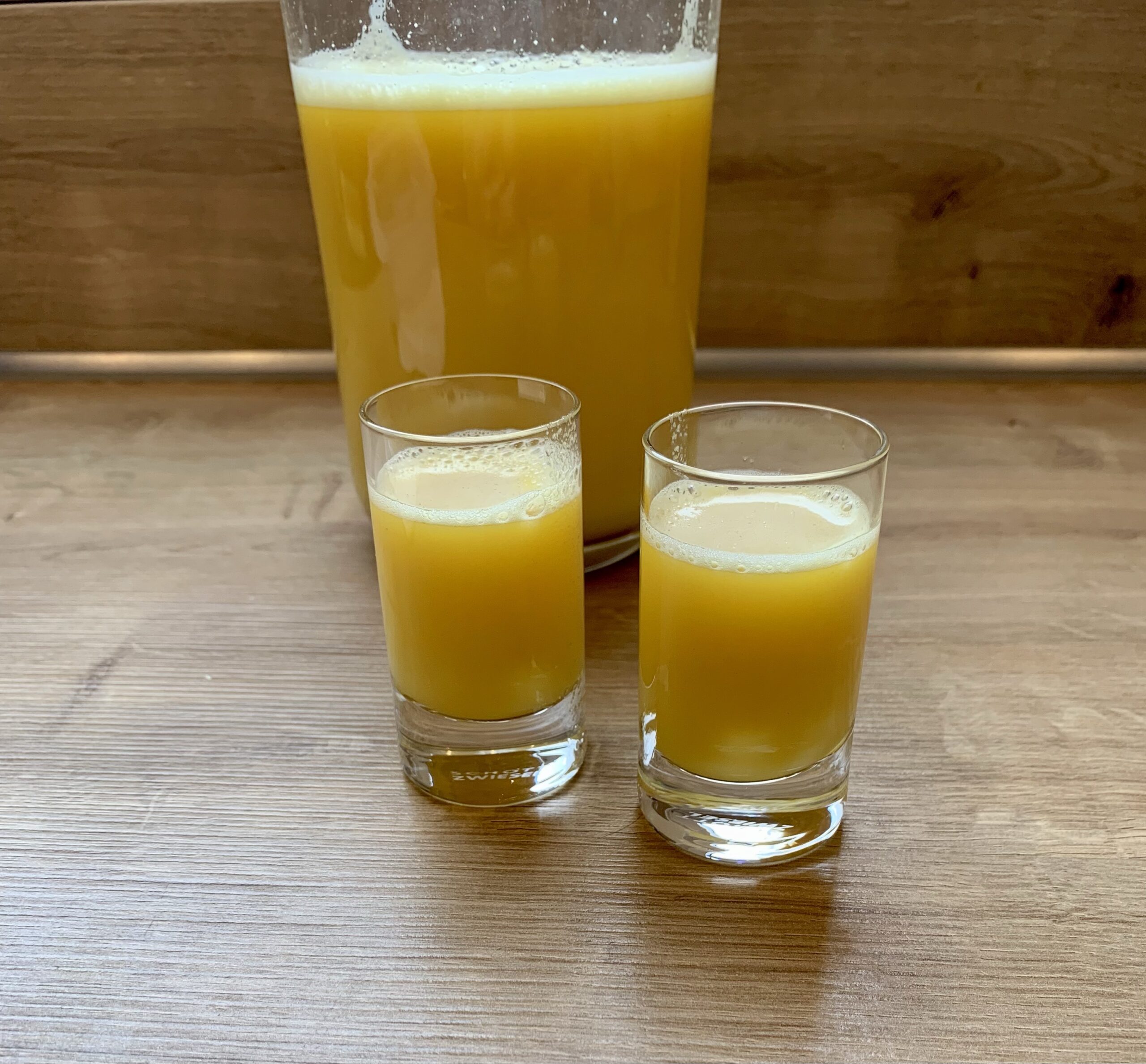 You are currently viewing Ingwershot aus dem Deluxe Blender (ca. 800 ml)